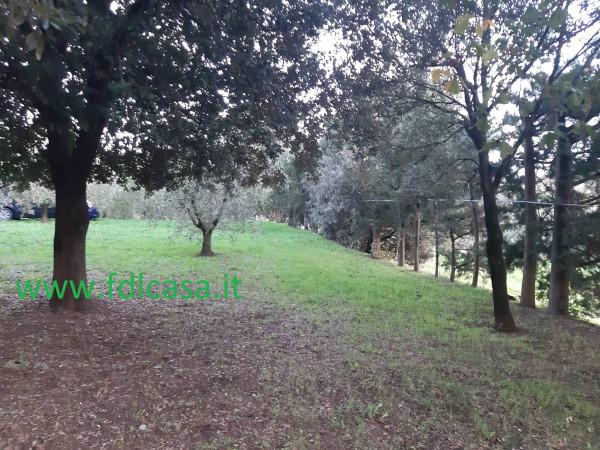 immagine annuncio 4 di 6