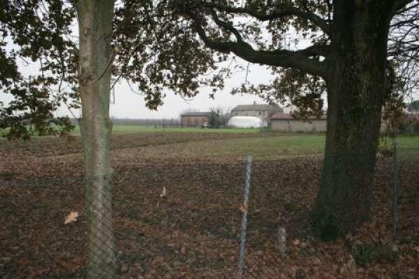 immagine annuncio 1 di 4