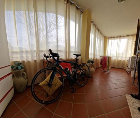 immagine annuncio 8 di 12