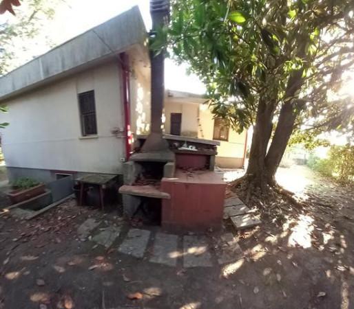 immagine annuncio 4 di 14