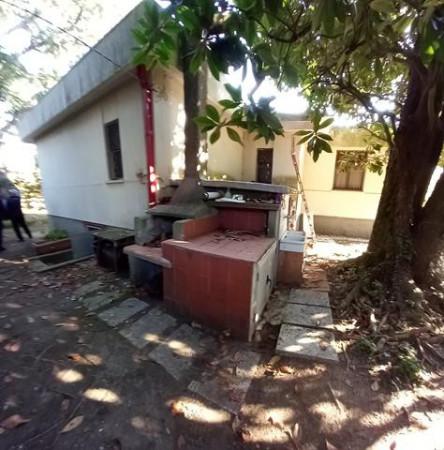 immagine annuncio 3 di 14