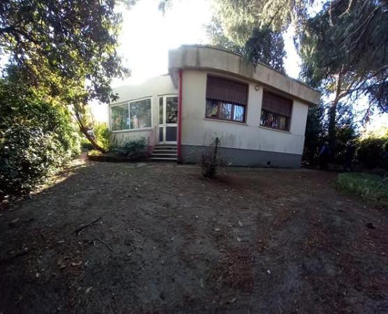 immagine annuncio 5 di 14