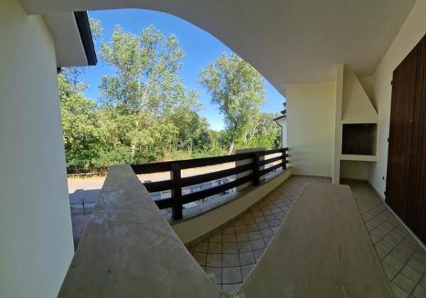 immagine annuncio 6 di 14