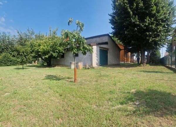 immagine annuncio 8 di 15