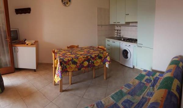 immagine annuncio 9 di 14