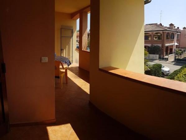 immagine annuncio 7 di 14