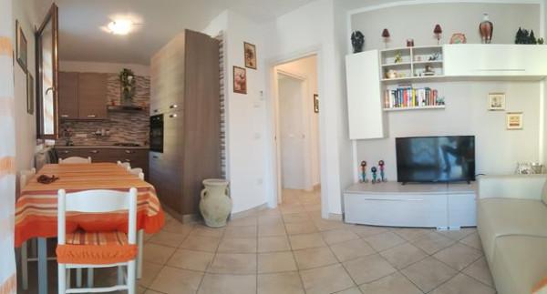 immagine annuncio 3 di 14
