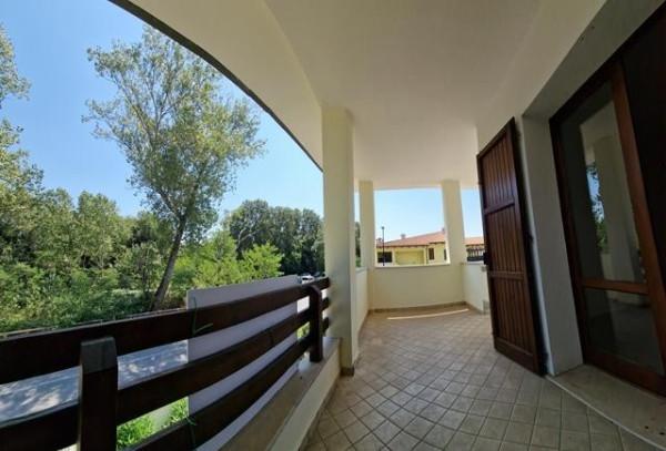 immagine annuncio 8 di 14