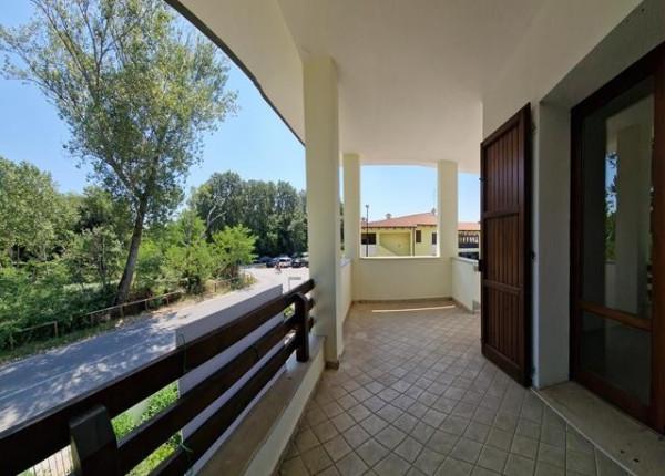 immagine annuncio 7 di 14