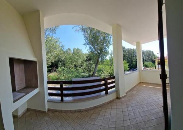 immagine annuncio 10 di 14