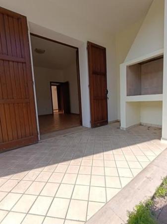 immagine annuncio 6 di 12