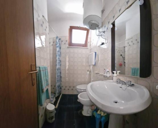 immagine annuncio 10 di 14