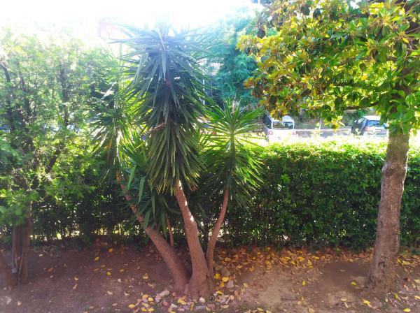 immagine annuncio 6 di 12