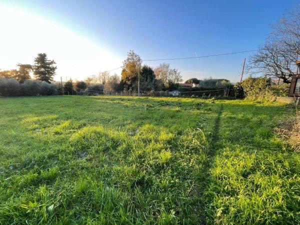 immagine annuncio 4 di 9