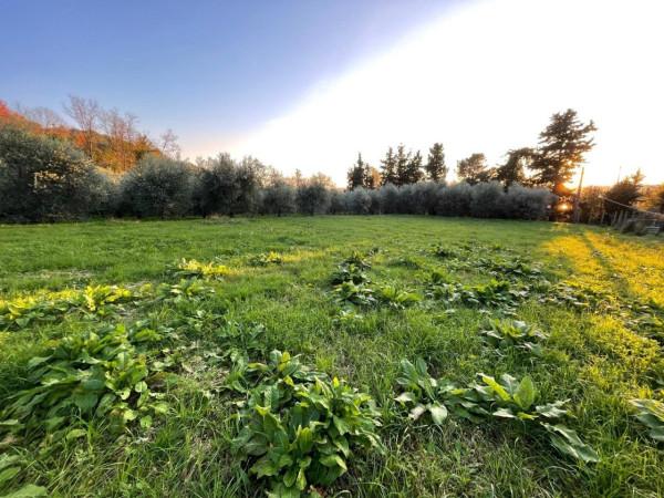 immagine annuncio 5 di 9