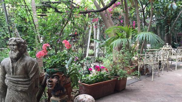 immagine annuncio 11 di 13