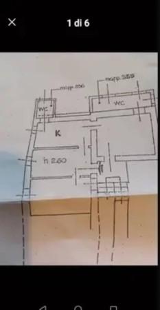 insertion image