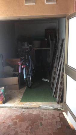 immagine annuncio 4 di 12