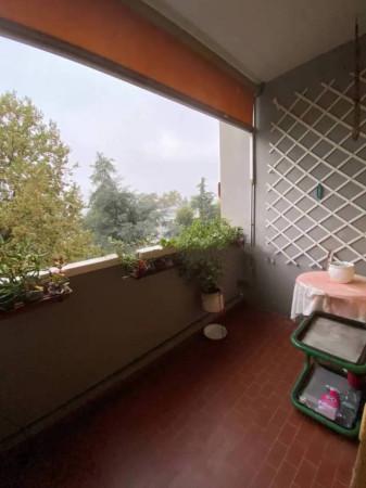 immagine annuncio 6 di 12