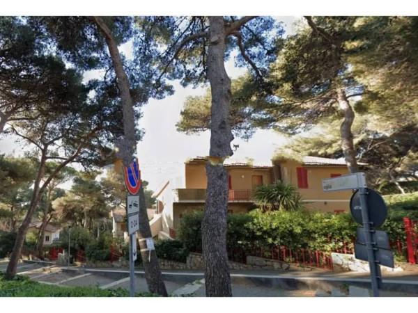 immagine annuncio 2 di 12