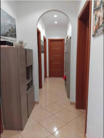 immagine annuncio 4 di 6