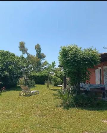 immagine annuncio 4 di 6