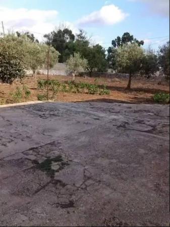 immagine annuncio 5 di 6