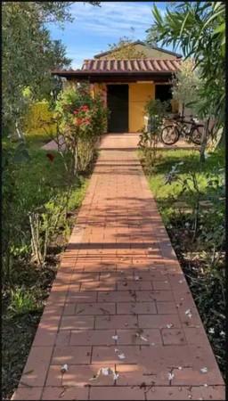 immagine annuncio 5 di 7