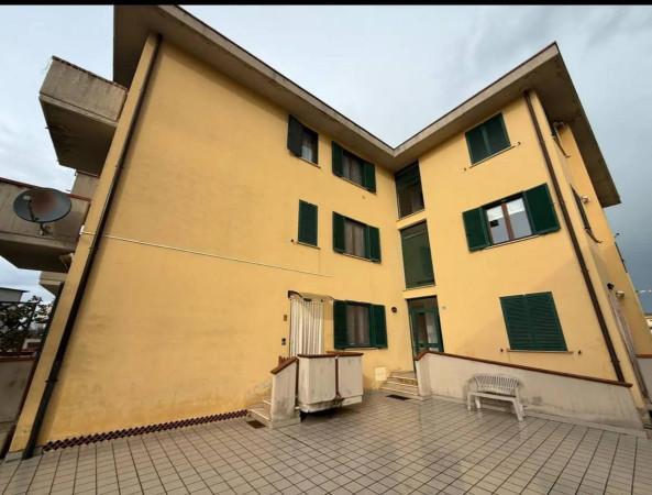 immagine annuncio 11 di 13