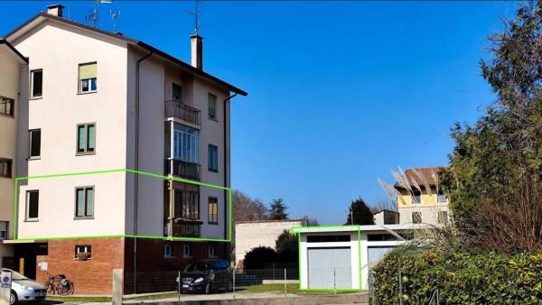 insertion image