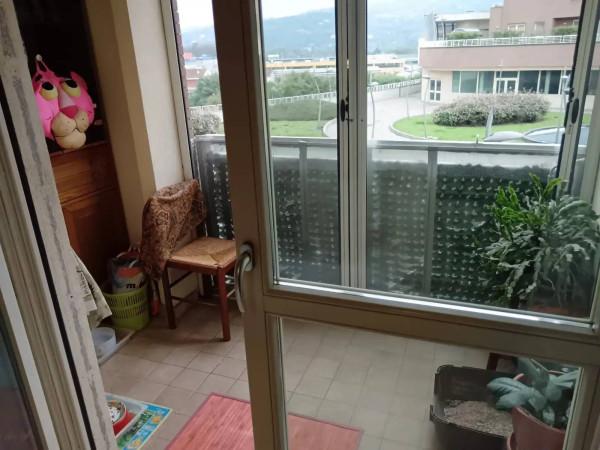 immagine annuncio 4 di 6