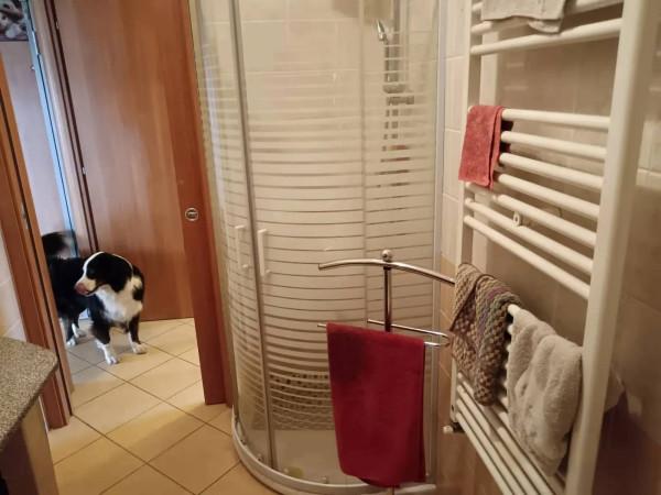 immagine annuncio 5 di 6