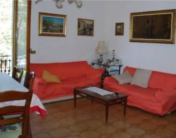 immagine annuncio 4 di 8