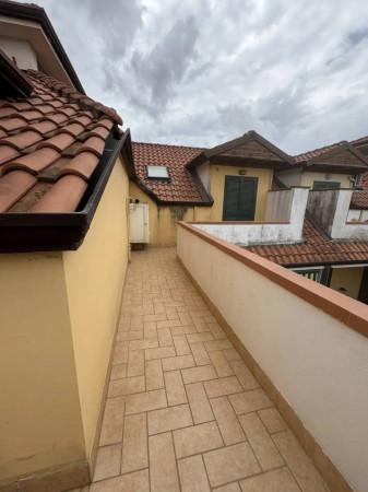 immagine annuncio 12 di 14