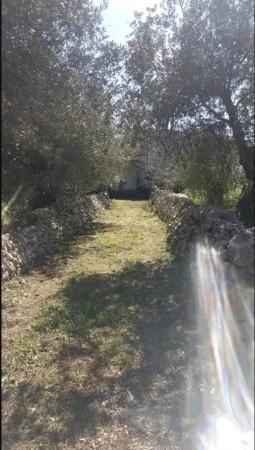 immagine annuncio 4 di 6