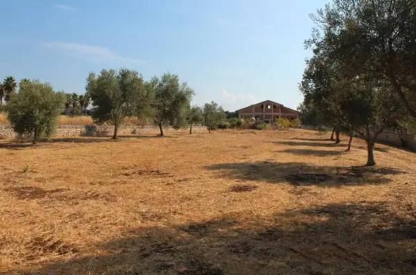 immagine annuncio 4 di 6