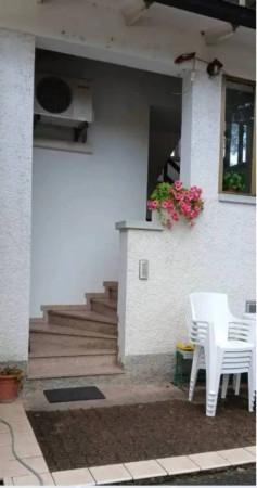 insertion image