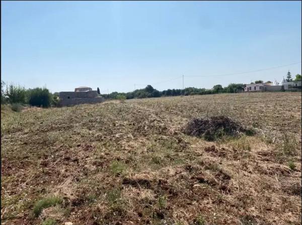 immagine annuncio 4 di 6