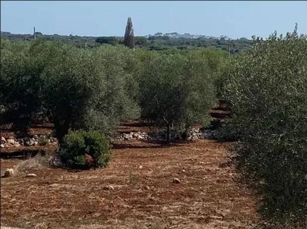 immagine annuncio 5 di 6