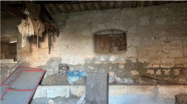 immagine annuncio 4 di 6