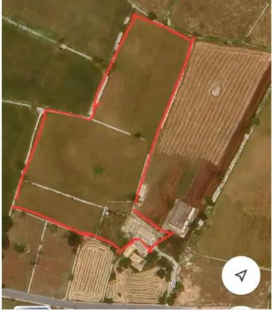 immagine annuncio 6 di 7