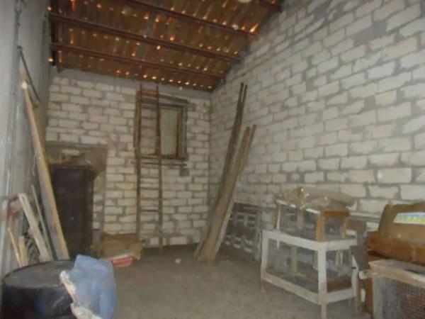 immagine annuncio 7 di 14