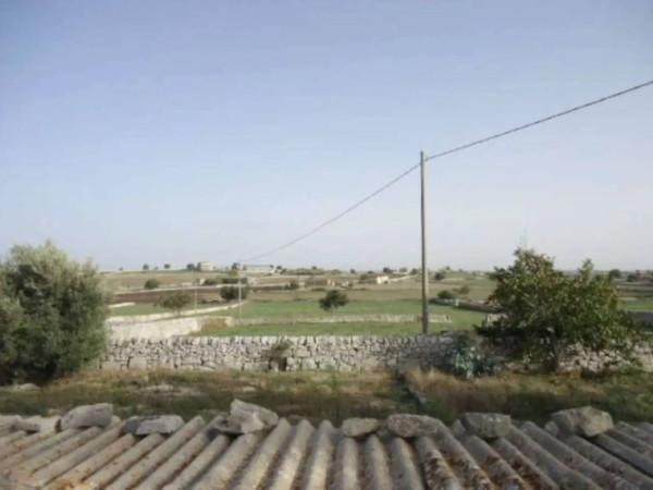 immagine annuncio 9 di 14