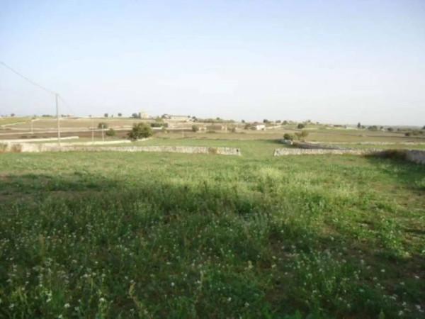 immagine annuncio 10 di 14