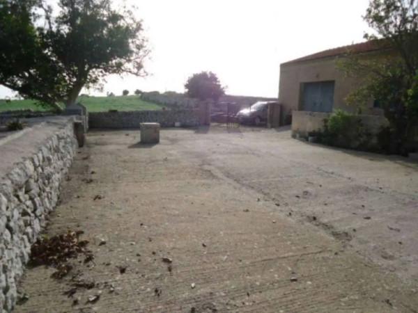 immagine annuncio 8 di 14