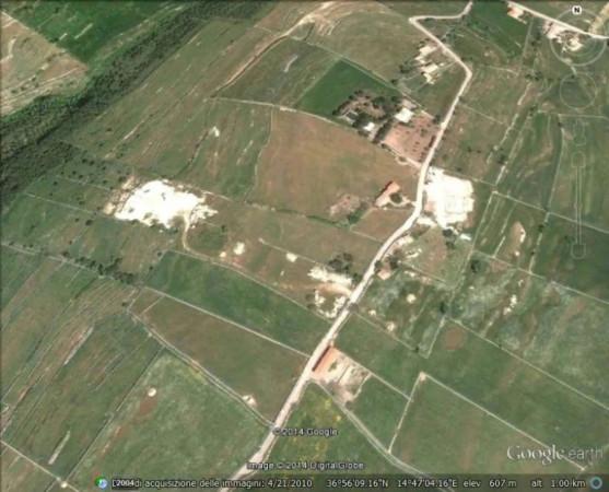 immagine annuncio 12 di 14