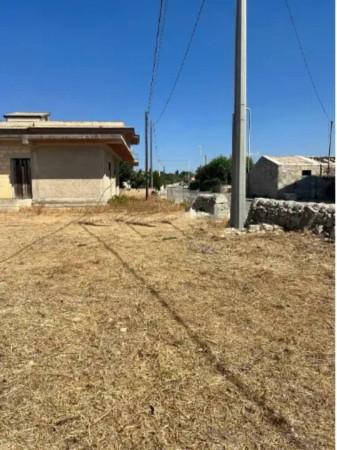 immagine annuncio 3 di 8