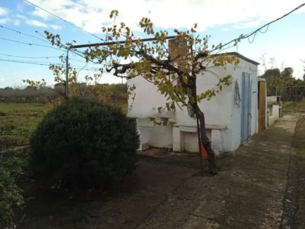 immagine annuncio 4 di 7