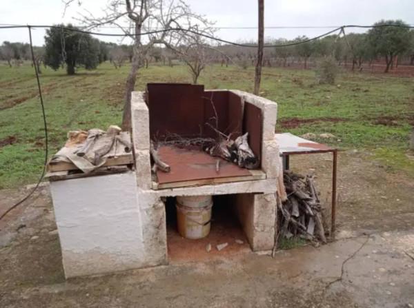 immagine annuncio 2 di 7