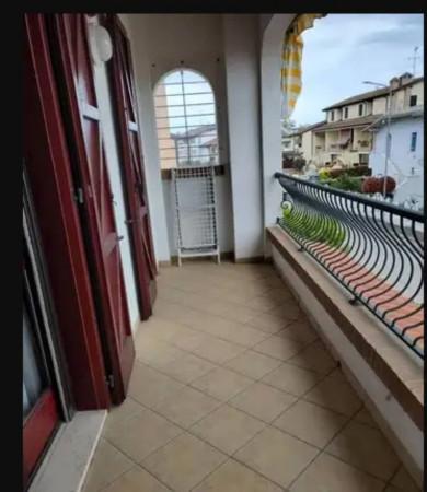 immagine annuncio 5 di 6